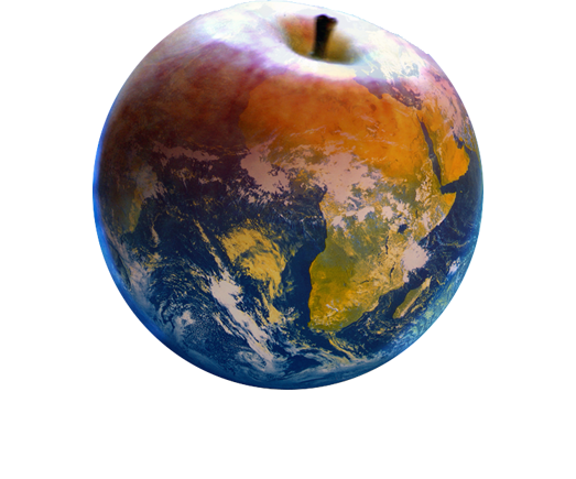CLM-Community